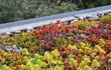 the cost of Shatton green roof installation