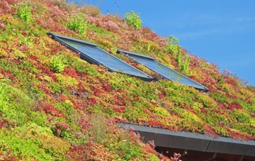 Shatton living roof systems