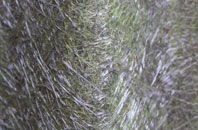 Shatton fibreglass roof work